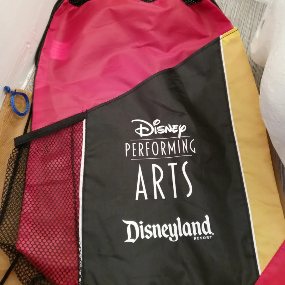 Disneyland Performing Arts Drawstring Backpack Lightweight Bag Color Block Tote.